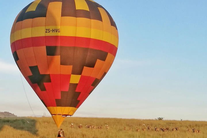 Safari Flight image