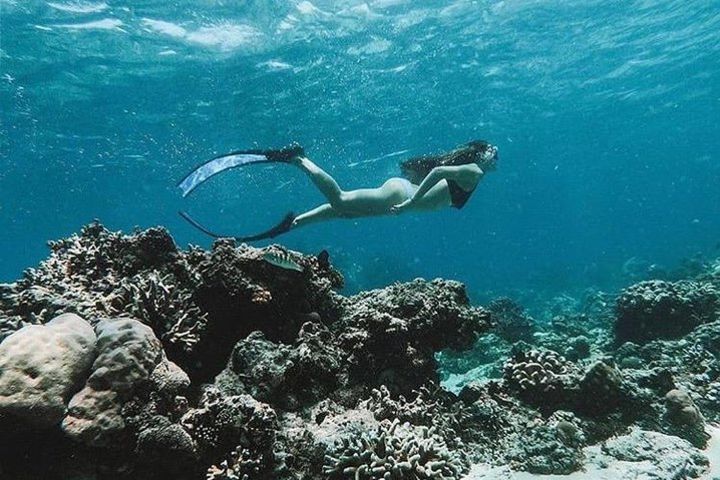 All Inclusive Snorkeling at Blue Lagoon with Lunch  image