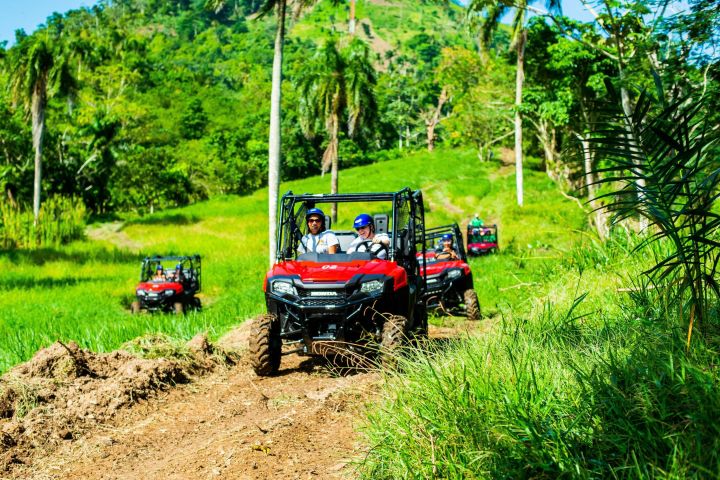 Jungle Buggies + Ziplines Adventures image