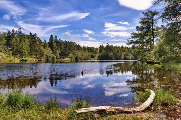 Full day Private tour of the Lake District  image