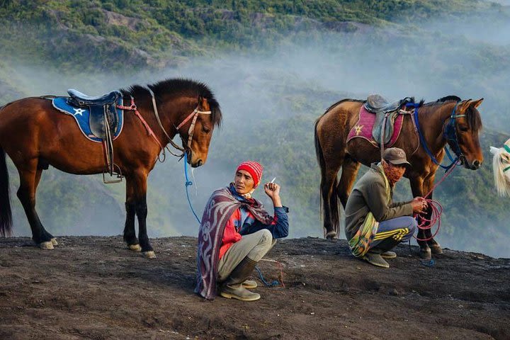 Mount Bromo & Mount Ijen Tour - Hotel image