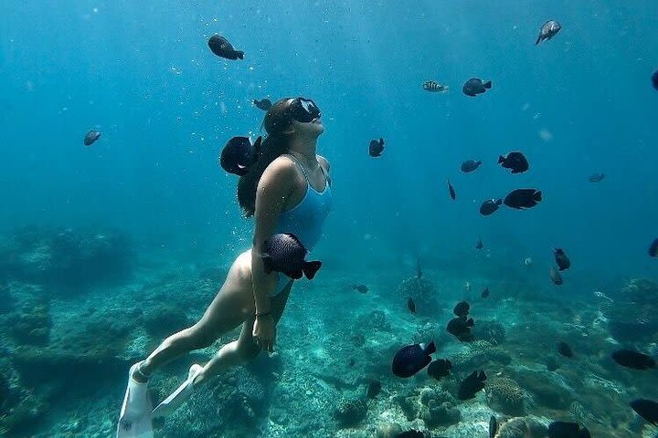 Bali Blue Lagoon Snorkeling Tour  image