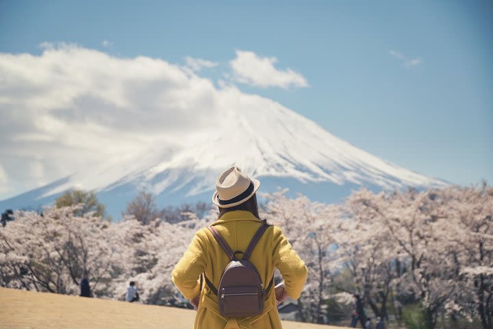 1 Day Private Mt Fuji Tour (Charter) - English Speaking Driver image