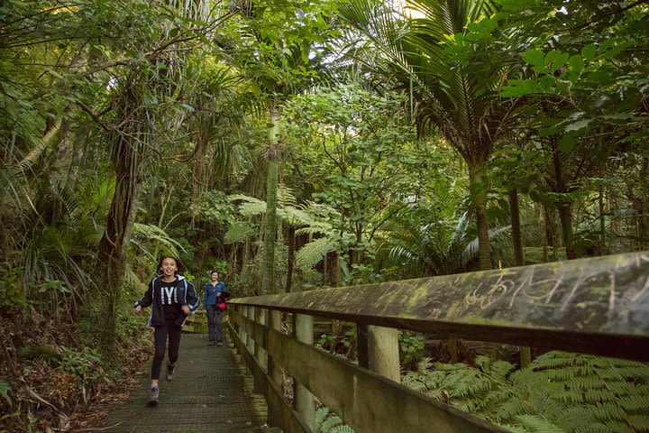 Tauranga Shore Excursion: Small-Group Bay of Plenty and Tauranga Tour image