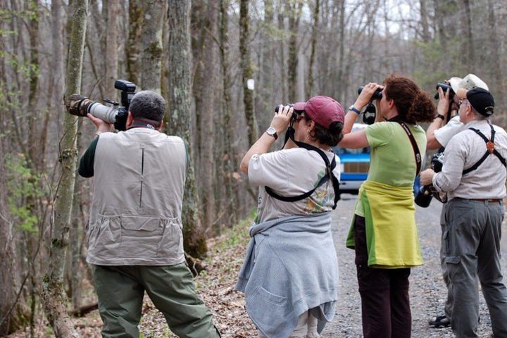 Photography & Birdwatching Tour image