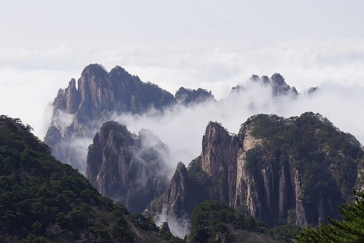1 Day Huangshan Private Tour image