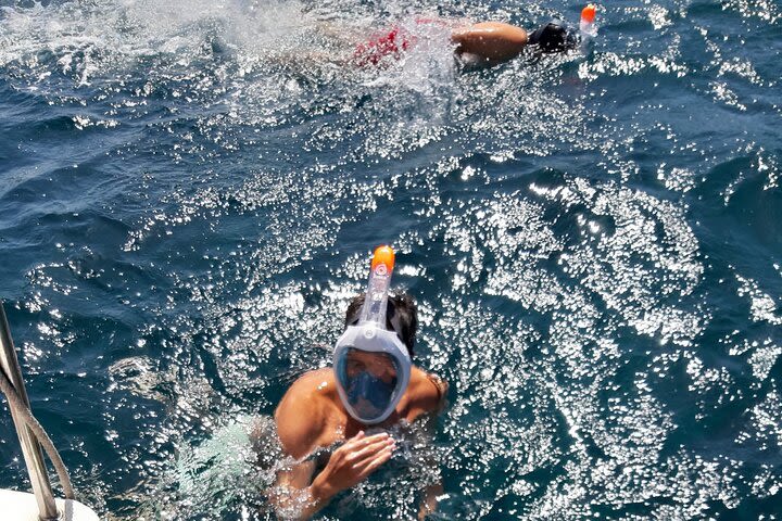 1-hour Snorkelling Tour from Puerto del Carmen image