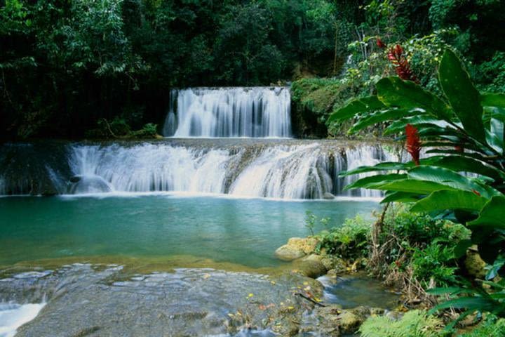 Appleton and Y.S Falls Tour from Negril Hotels image