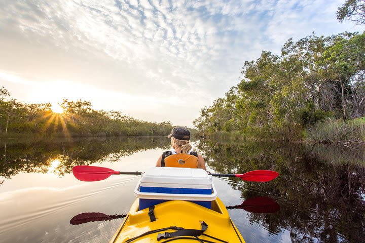 Self-Guided Noosa Everglades Kayak Tour image