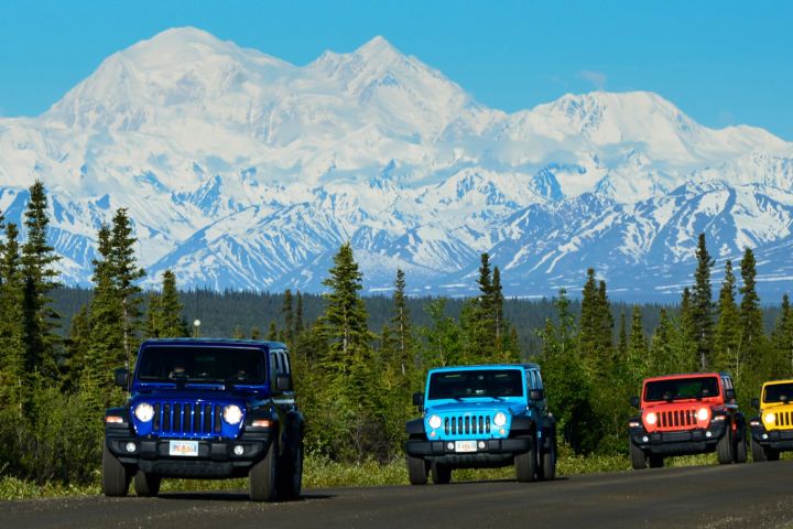 Denali Highway Jeep Excursion - 4 Hour Tour image