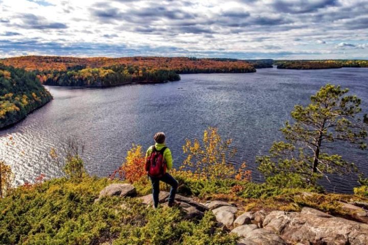 Algonquin Fall Foliage Shuttle from Toronto image