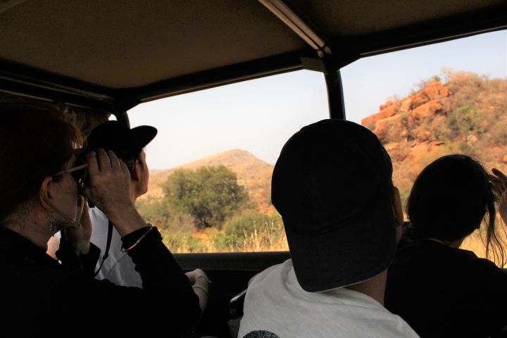 2-Day Pilanesberg Camping Safari image