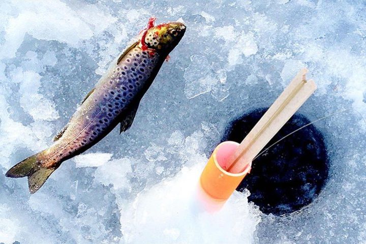 Arctic Day with Ice Fishing and Floating image