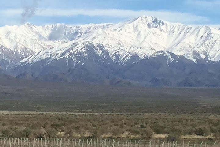 Private Tour: Mendoza Wine with Driver and Guide image