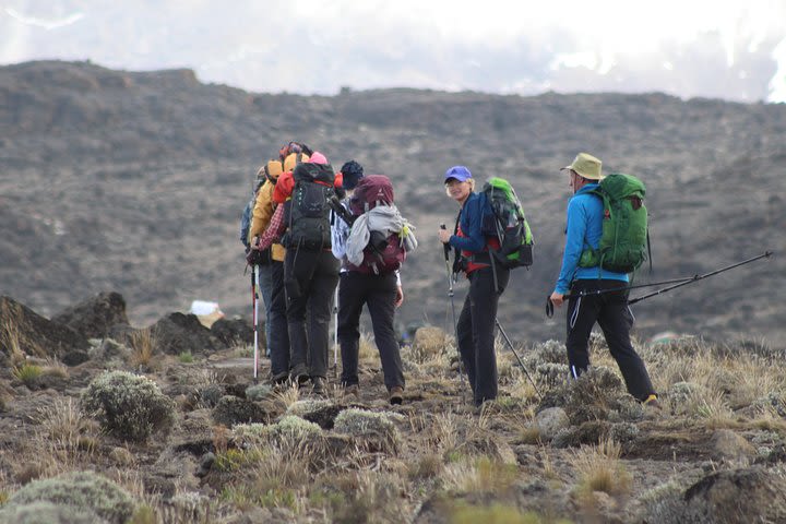 Kilimanjaro Lemosho Route 8 Days image