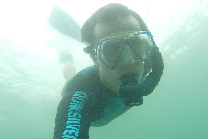 Local Reef Snorkelling and Deserted Beach image