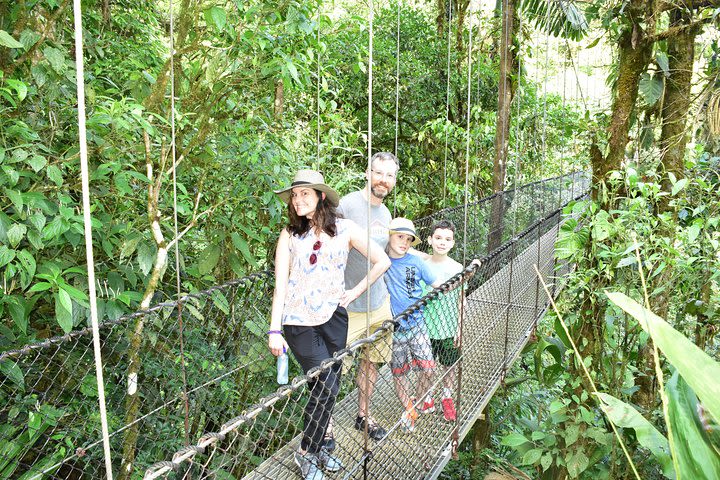  Arenal Volcano Hike,Hanging Bridges,La Fortuna Waterfall and Free Hot Springs image