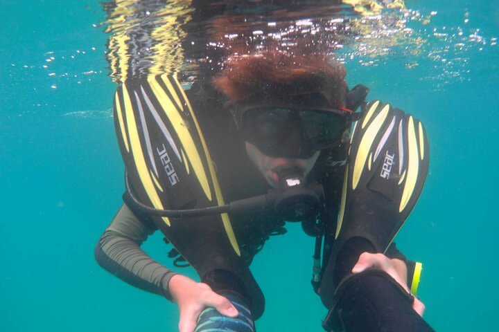 Padi open water diver course (Start at Ko Kut) image