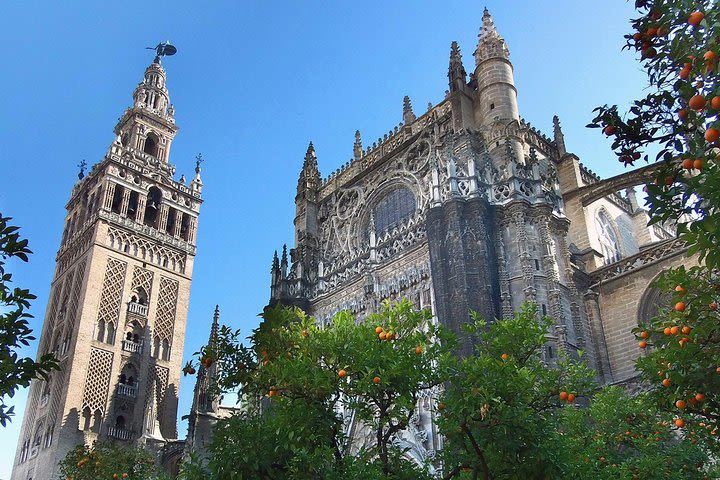 Guided tour of the cathedral and the Giralda with admission included image