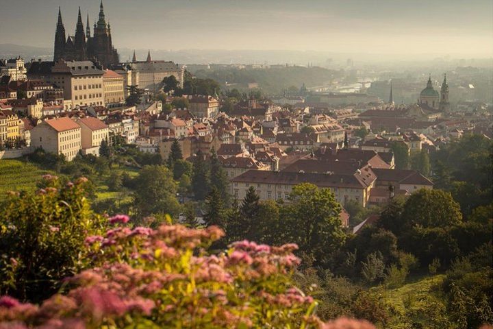 Private Sightseeing tour in Prague image