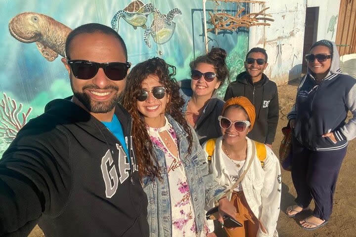 Abu Dabbab Beach Full Day Trip Snorkeling with Turtles image