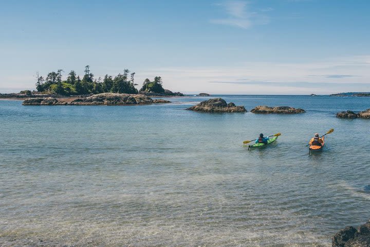 Ucluelet Harbour Kayaking Tour image