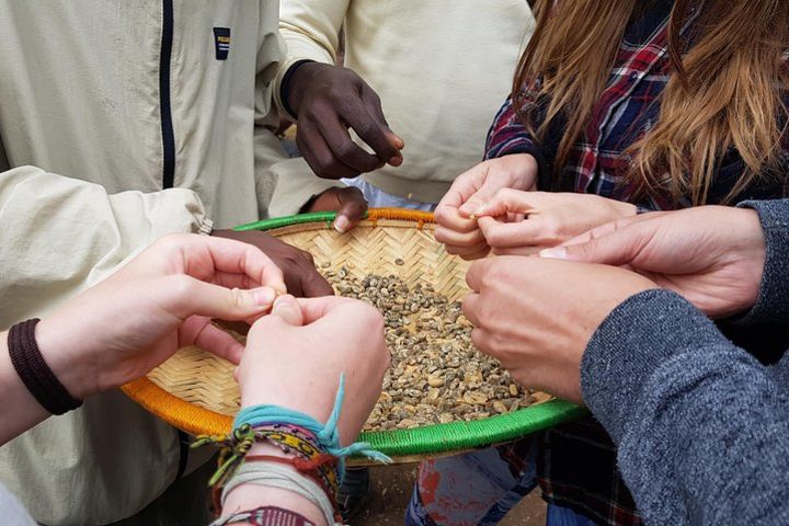 Materuni Waterfall and Coffee tour image