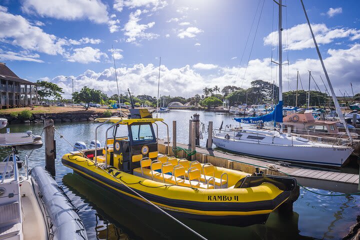 North Shore Oahu Snorkeling Tour image