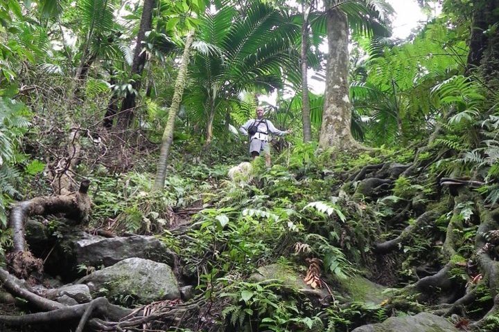 Half-Day St. Kitts Rainforest Hike image