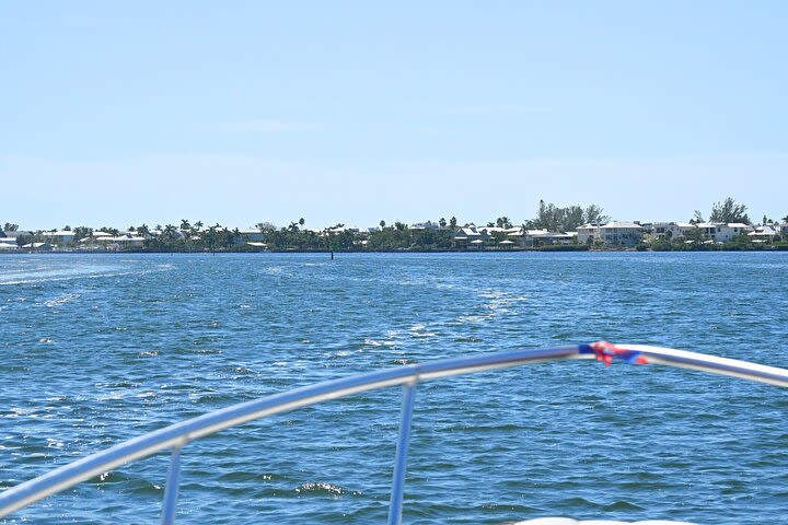 Private Dolphin and Intracoastal Tour of Anna Maria Island image
