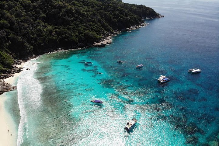 Similan Island Premium Service By SpeedBoat From Phuket image