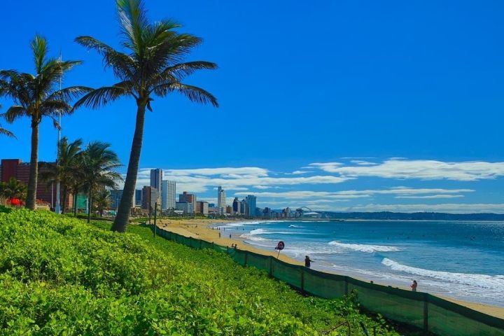 Durban City Top Attractions Tour image