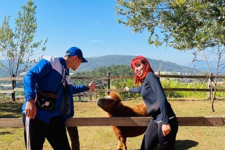 Da Lat Cloud Hunting Dawn Tour image