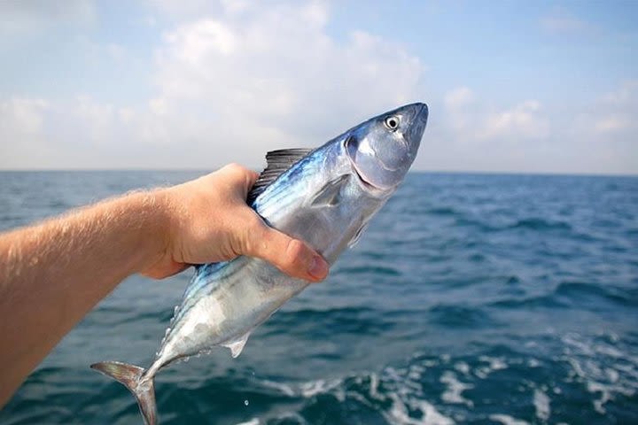 Fishing and Snorkeling Tour From Alanya image