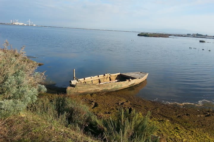 Chia Beaches Tour from Cagliari image