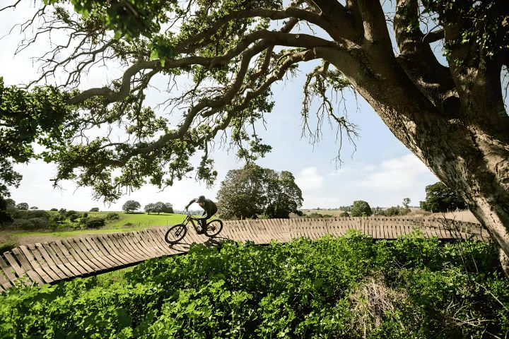 Circuito MTB de Parque Tricao: Aventura en la Naturaleza  image