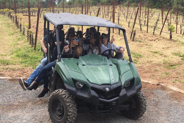 Wine Tour, enjoy a wonderful day in Napa or Sonoma wine country. Private Driver image