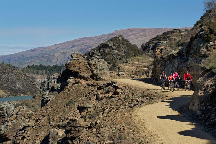 Full-Day Roxburgh Gorge Cycle Tour from Queenstown image