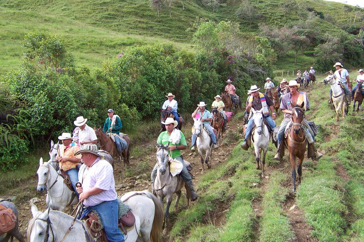 Coffee Tour In Horse Riding In Medellin image