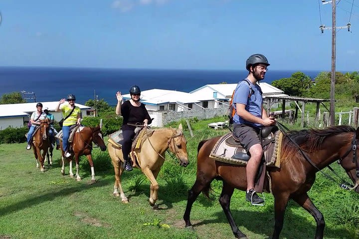 St Kitts Rainforest Horseback Riding Tour (Reconfirm 48hrs prior) image