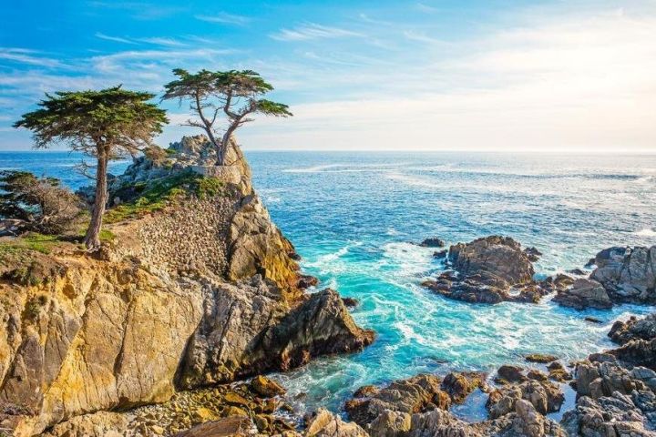 17-Mile Drive & Pebble Beach Tour image