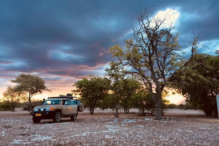 Experience Etosha, Brandberg &Twyfelfontein with a Taste of the Coast of Namibia image