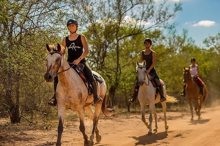 Kusadasi Horse Safari image