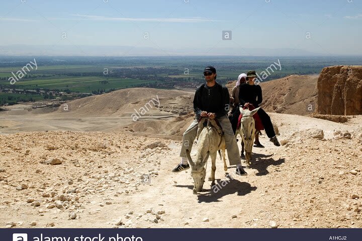  West Bank tour by donkeys / horses  image