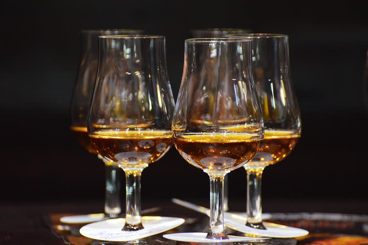 Shustov brandy tasting image