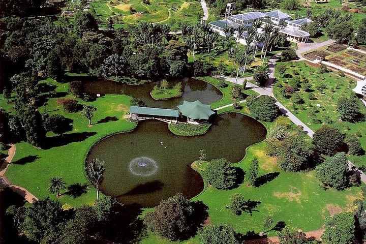 Botanical Garden Bogotá Private Tour (4 Hrs.) image