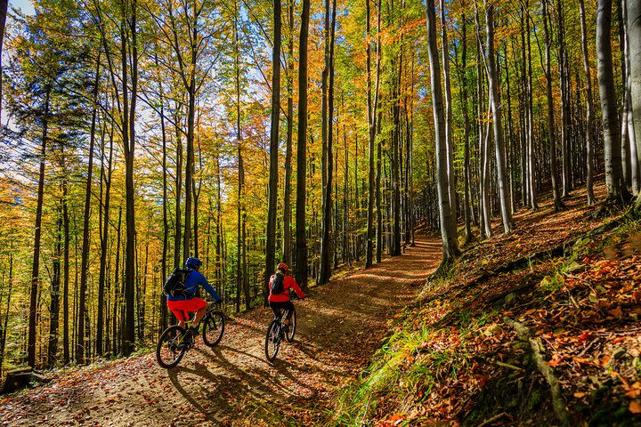 Ljubljana MTB trail image