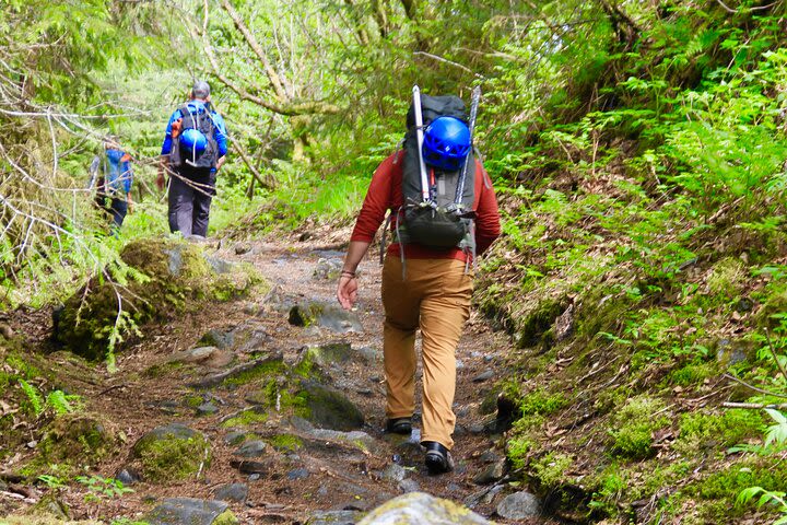 Private Mendenhall Glacier Trek image