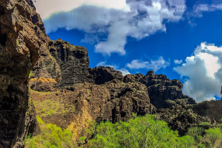 Mount Teide and Teno Small Group Altitude Tour image