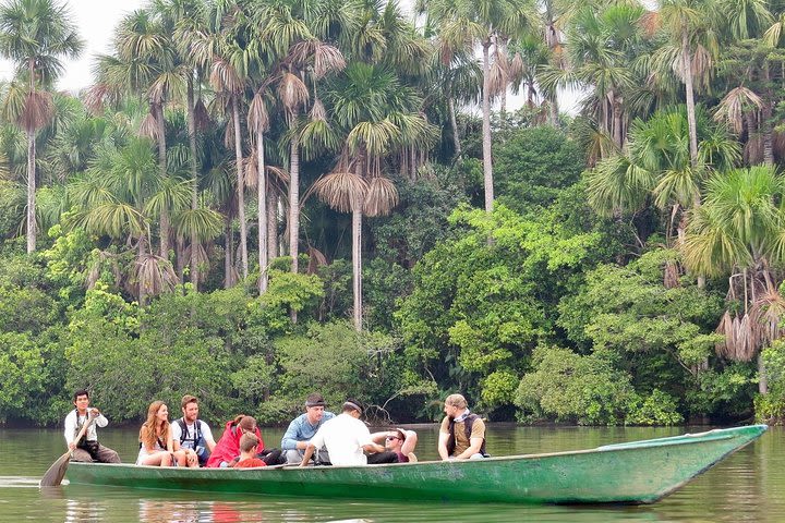 Sandoval Lake + Chuncho Macaw Collpa - 5 Days / 4 Nights image